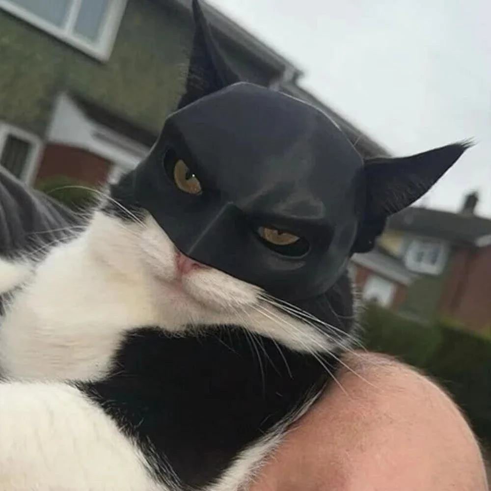 Superhero Cat Mask Costume